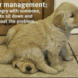 Anger Management - Cooper does this, hilarious