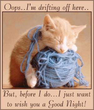 good night, goodnight, kitten