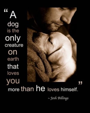 Dog Quotes Wallpapers