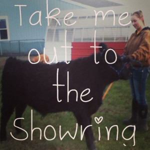 Show girl. Just wanting to get in that show ring and show your cattle ...