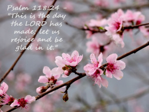 view original image )