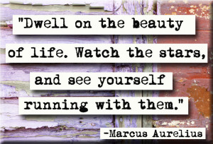 Marcus Aurelius Quote About Happiness