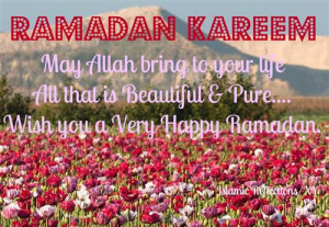 Beautiful Flower Image And Ramadan Kareem Quote: May Allah bring to ...