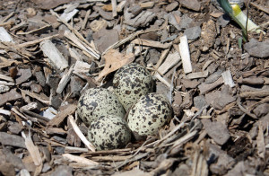 Funny Quotes Contact Dmca...