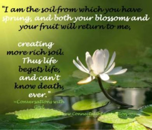 Death, Dying, Inspirational Quote, Life can not know death ever, Lotus ...