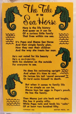 poster in yellow and black - The Tale of the Sea Horse