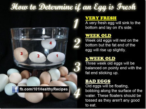 But from a practical point, we can only test eggs after purchase ...