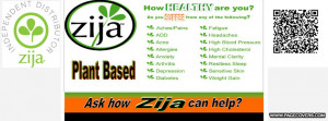Zija Cover Cover Comments