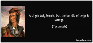 single twig breaks, but the bundle of twigs is strong. - Tecumseh