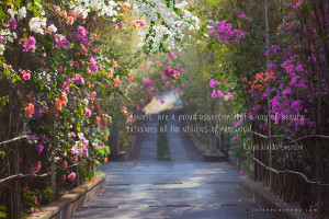 Flowers Are A Proud Assertion That A Ray Of Beauty Outvalues All The ...