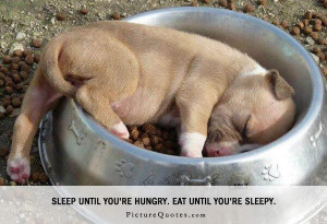 Sleep until you're hungry. Eat until you're sleepy. Picture Quote #4