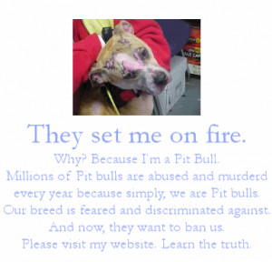 It is soo sad!!! Pitbulls aren't bad so why do they get abused?