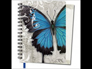 The Blue Butterfly: Quotes