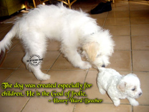 Animal Quotes Graphics, Pictures