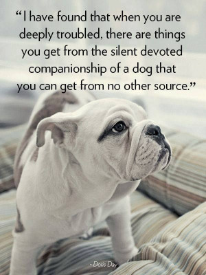 Companionship of a Dog!