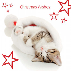 Christmas Animal Quotes. QuotesGram