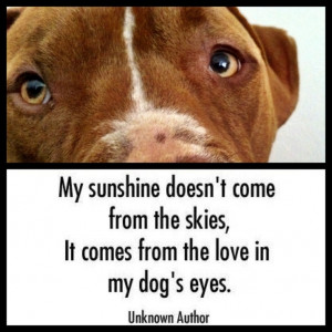 This is my dog and a quote I found online :)