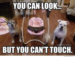 Baby Guard Dogs – You can look but you can’t touch.