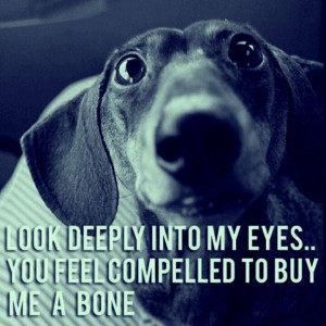 Uploaded to Pinterest