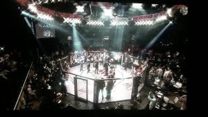 funny jiu jitsu quotes