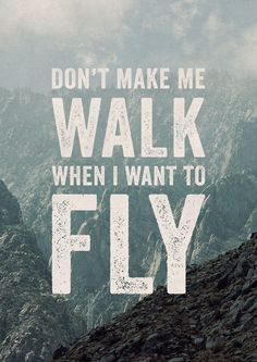 Fly Quotes