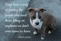 Quotes: Loss of Dog / Popular quotes on the loss of a dog by famous ...