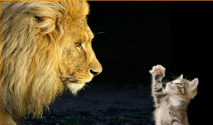 Wednesday, November 16, 2011