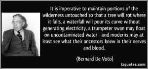 It is imperative to maintain portions of the wilderness untouched so ...
