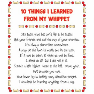 boyfriend,funny painted signs,funny pictures poems,funny rap quotes ...