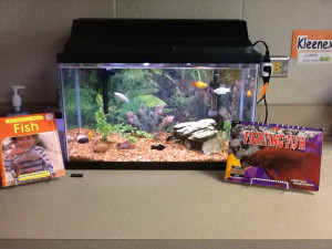 Reflections on Teaching, Learning, and Technology