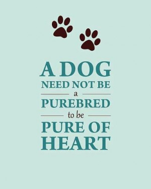 Pure of Heart - The Barking Army - FB