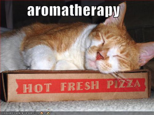 funny-pictures-cat-pizza-aromatherapy