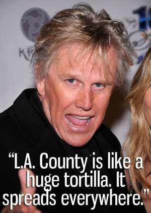 Funny Gary Busey quotes13 Funny Gary Busey quotes