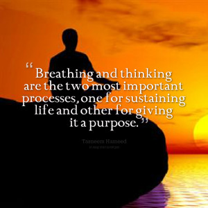 Quotes Picture: breathing and thinking are the two most important ...