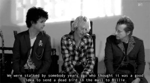 Green Day Billie Joe Armstrong Mike Dirnt Tre Cool gifs7 gdgifs