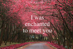Taylor Swift Song Quotes Enchanted Taylor swift enchanted