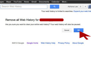 the confirmation dialogue comes up. When you do this, the web history ...