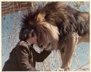 aslan, friendship, lion, love, man