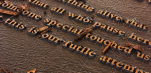 The Fleeting Beauty of All Things