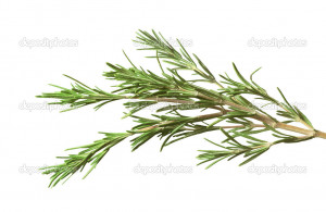 Displaying Gallery Images...