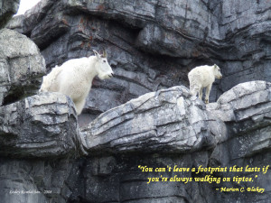 Mountain Goats with Quote by lesleyhat
