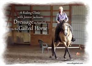 naturally gaited Improving movement of gaited horses through dressage