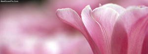 deep focus on flowers facebook covers flowers and floral fb timeline