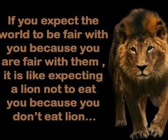 Lion Quotes And Sayings Lion