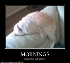 am really not a morning person either – I can relate.