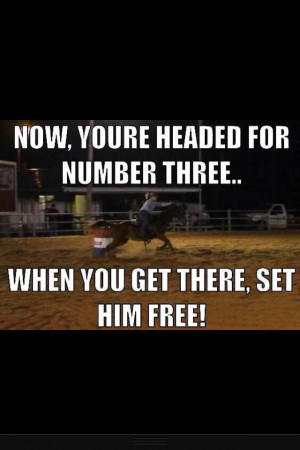 Barrel Racing Horses