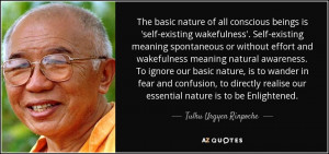 Tulku Urgyen Rinpoche Quotes