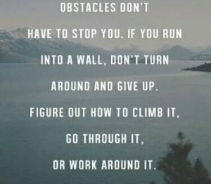 Quote on overcoming obstacles by either climbing , going through it or ...
