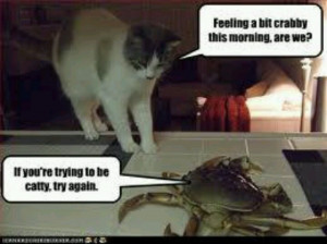 Don't be catty or crabby.