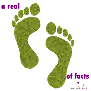 real foot print of facts